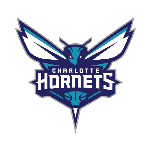 Charlotte Hornets basketball team logo featuring a stylized hornet above the team name.